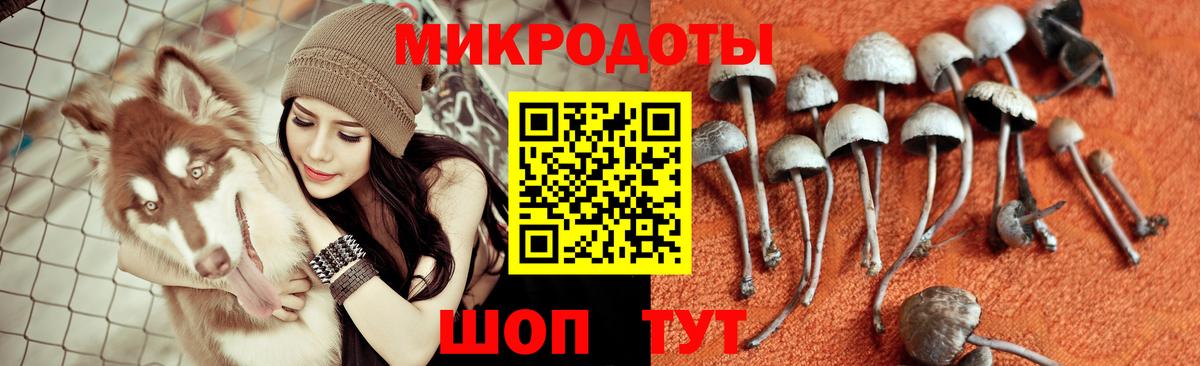 Галлюциногенные грибы Cubensis  Вход с VPN  Галлюциногенные грибы GOLDEN TEACHER  Новошахтинск 